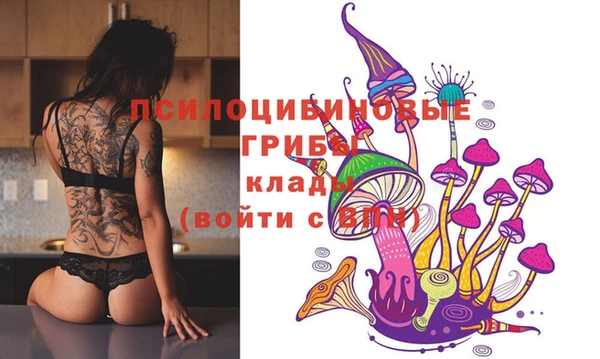 apvp Алексеевка